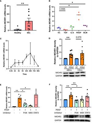 PDGF Promotes Dermal Fibroblast Activation via a Novel Mechanism Mediated by Signaling Through MCHR1